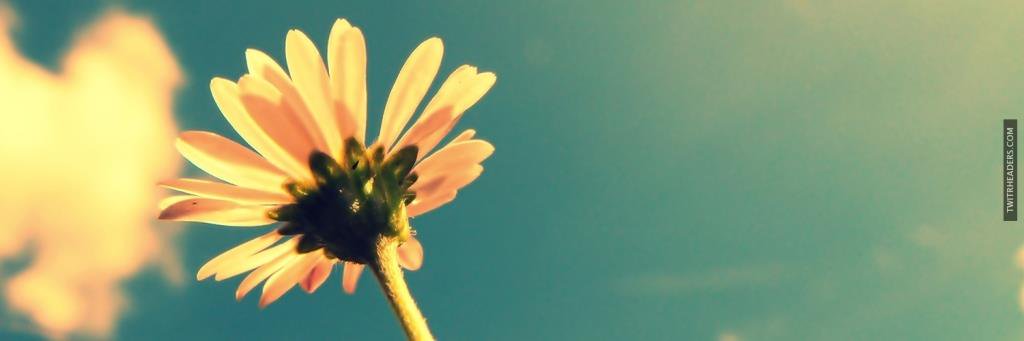 bknarendra12345's profile banner image
