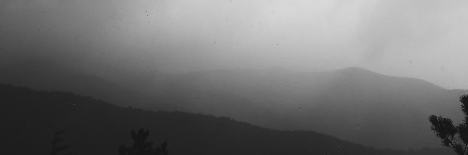 gingerfriedrice's profile banner image