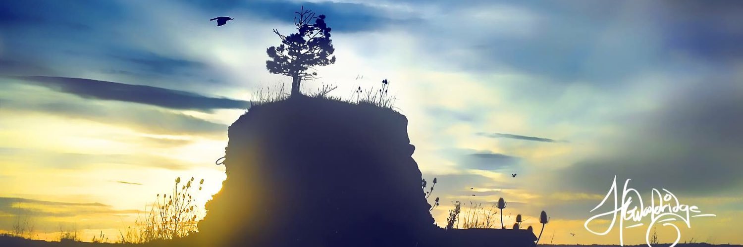 Howza_Wool's profile banner image