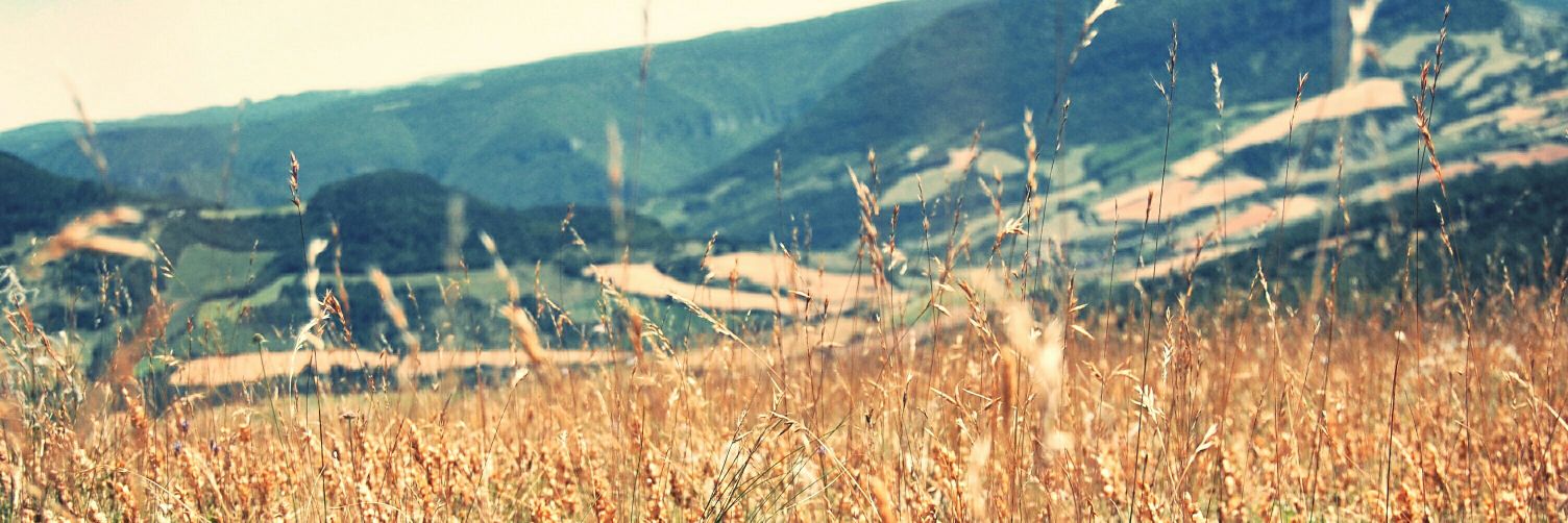syns__'s profile banner image