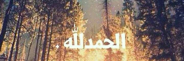 ashraf_ayesham's profile banner image