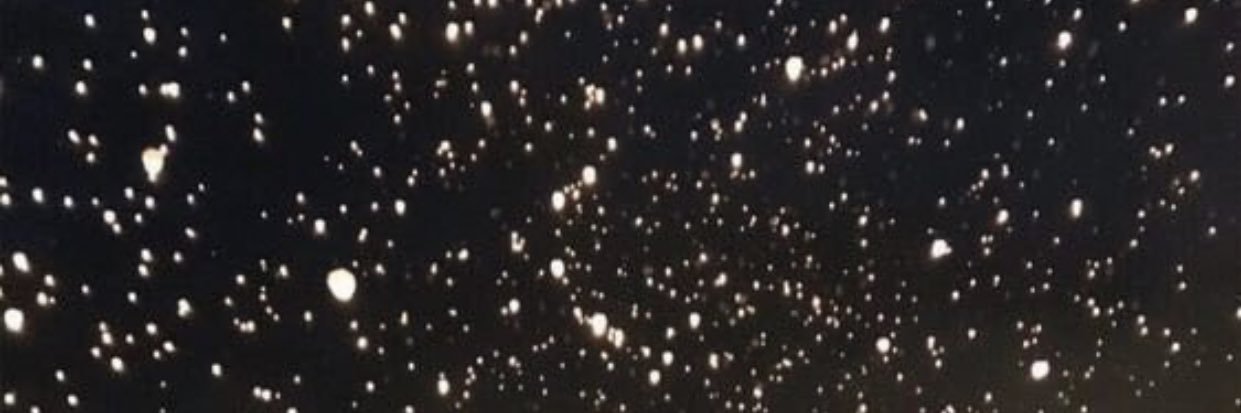 malefiz_______'s profile banner image