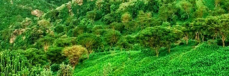 💭وجدان💭غياب مؤقت banner