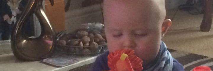 NettyCallear's profile banner image