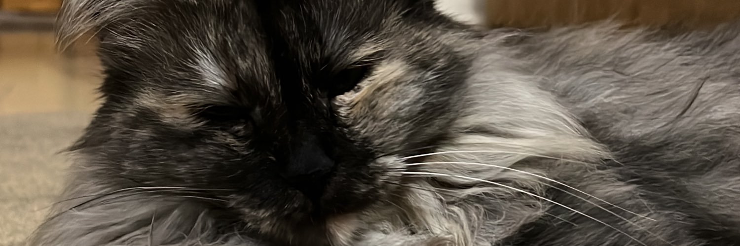 ASaddCat's profile banner image