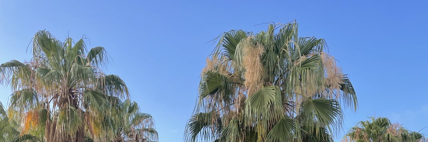 rellharly's profile banner image