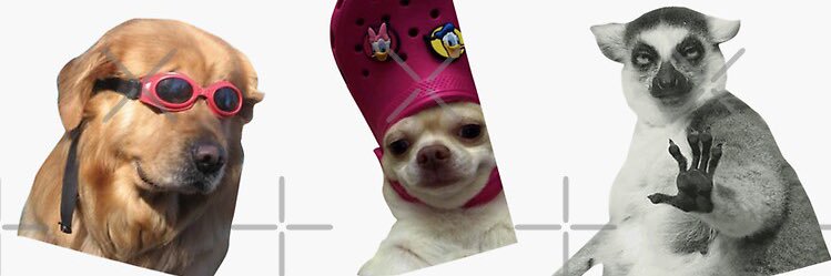 markymirella's profile banner image