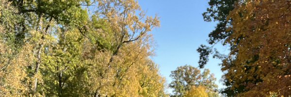 my2ndfavFword Profile Banner