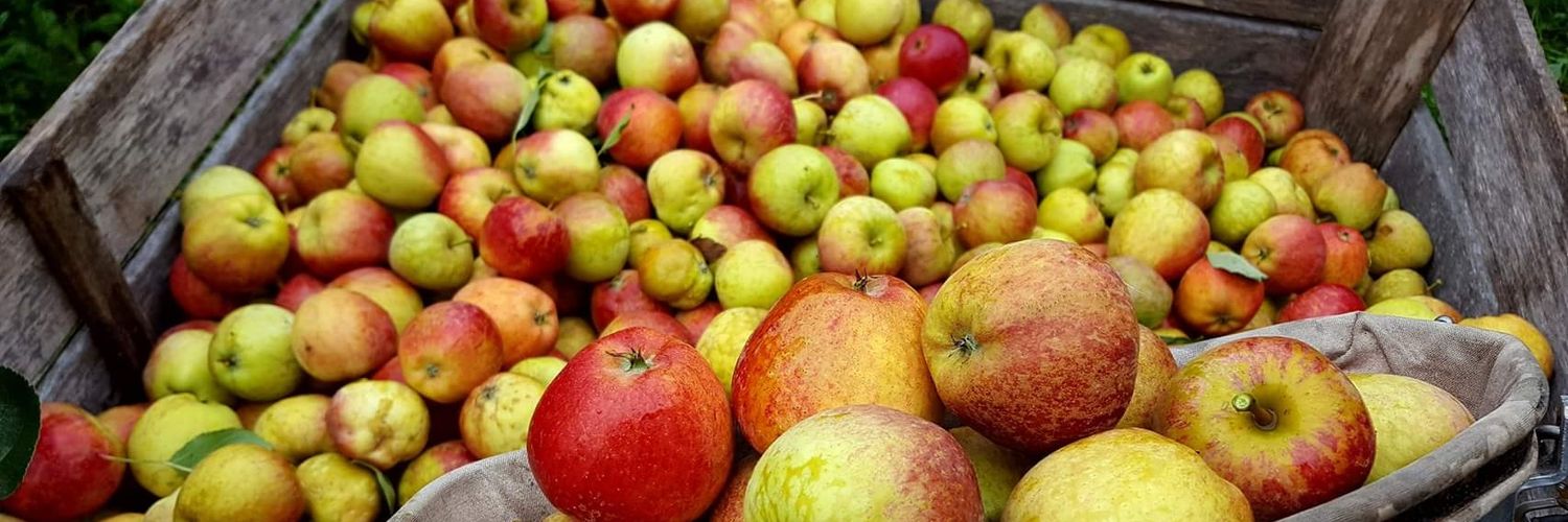 GannonsCider's profile banner image