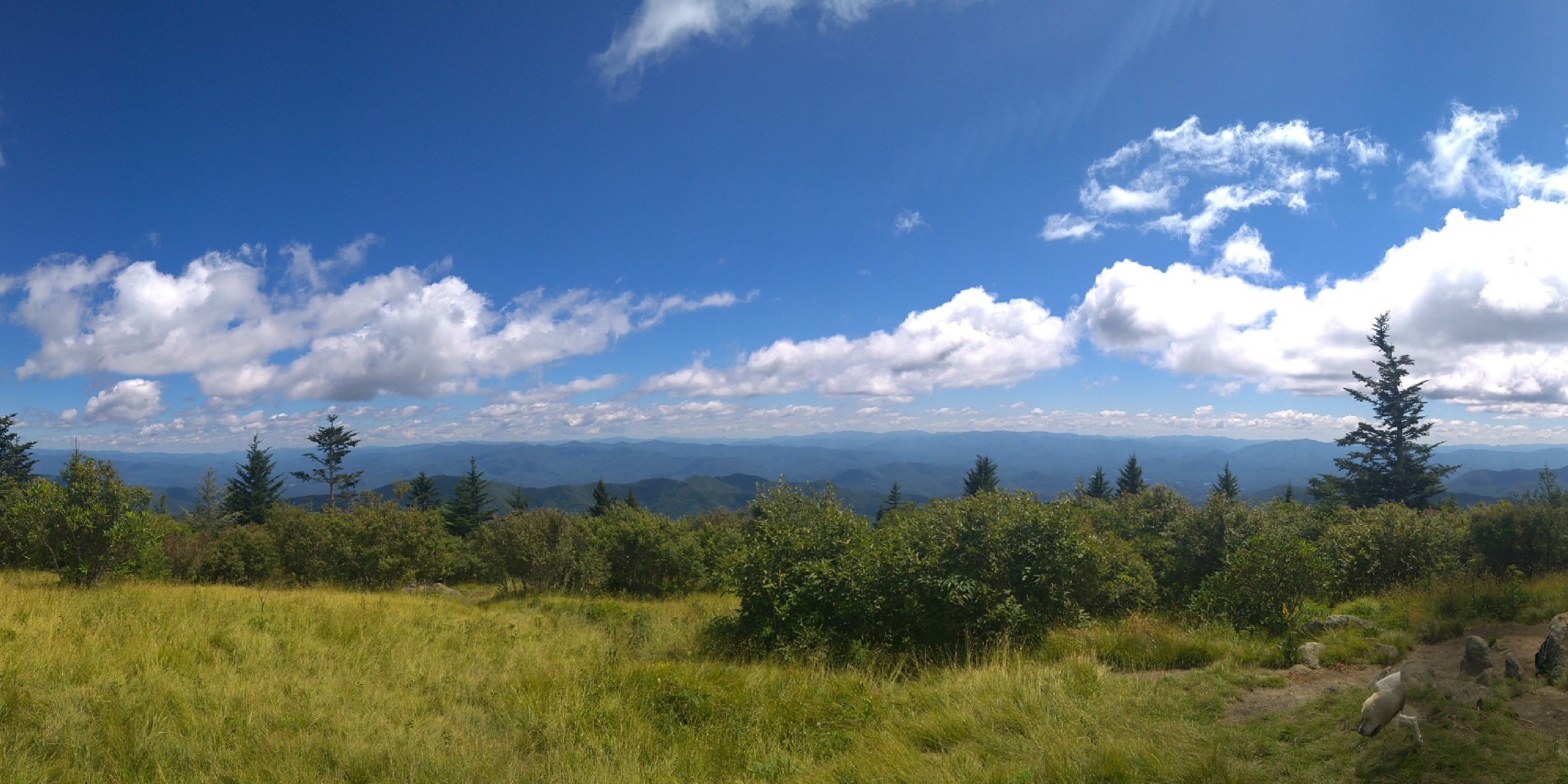 Kati Baker 🏳️‍🌈 banner
