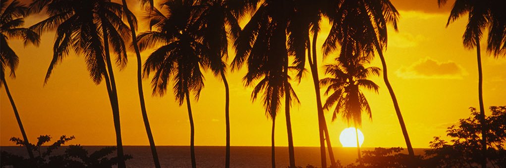 Natfromthebloc's profile banner image
