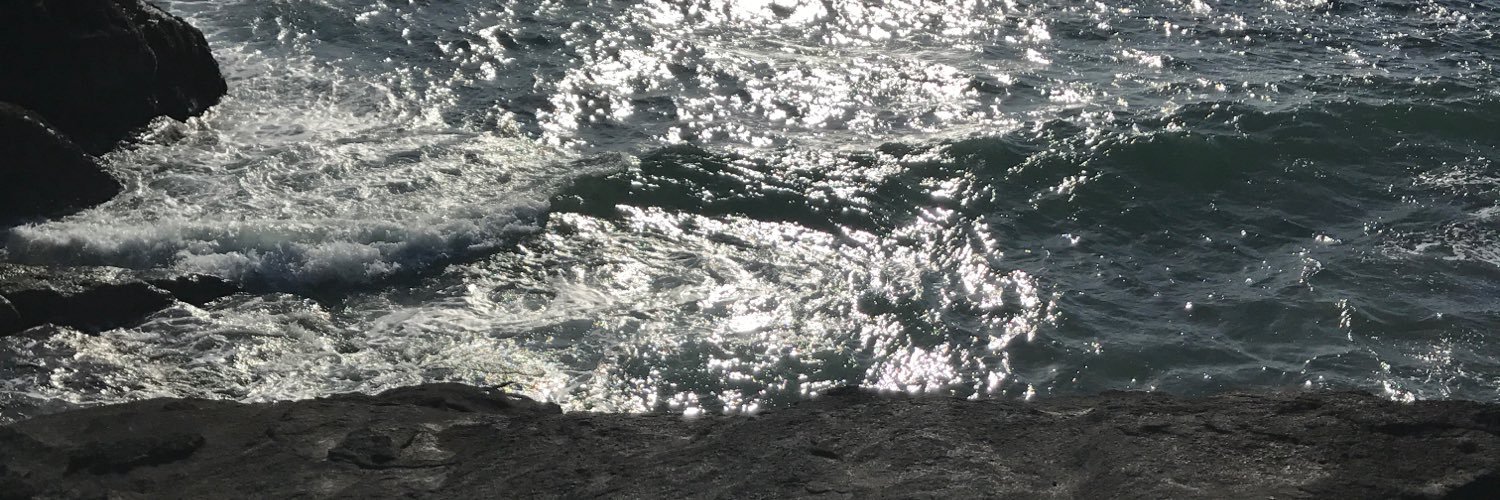 cstauffe's profile banner image