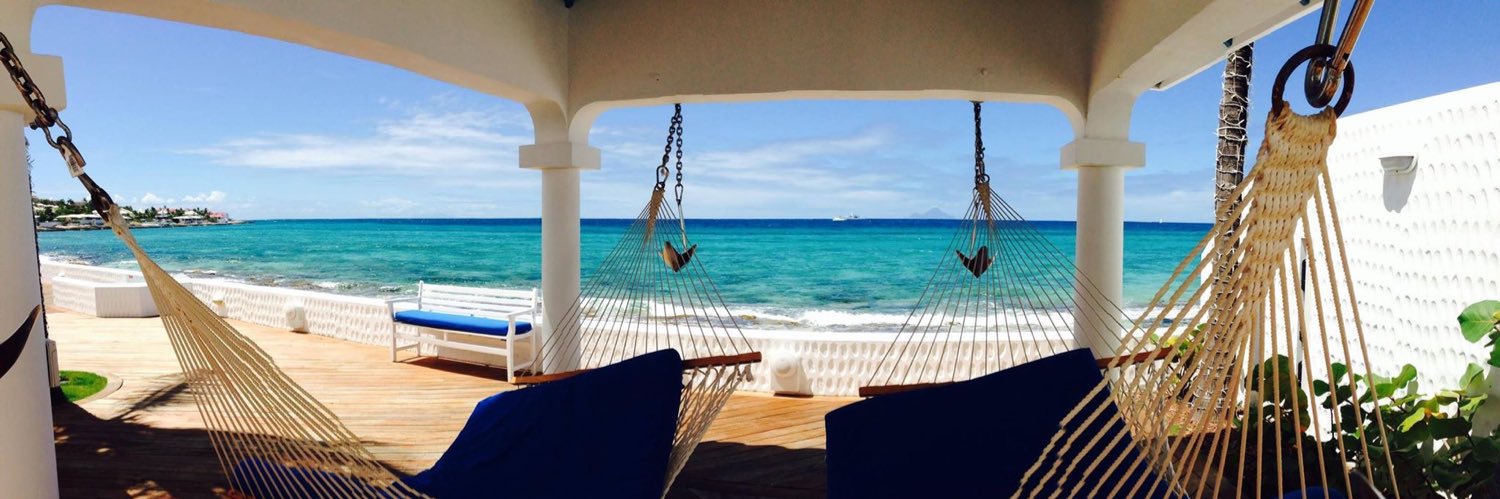 Sandie Sermarini banner