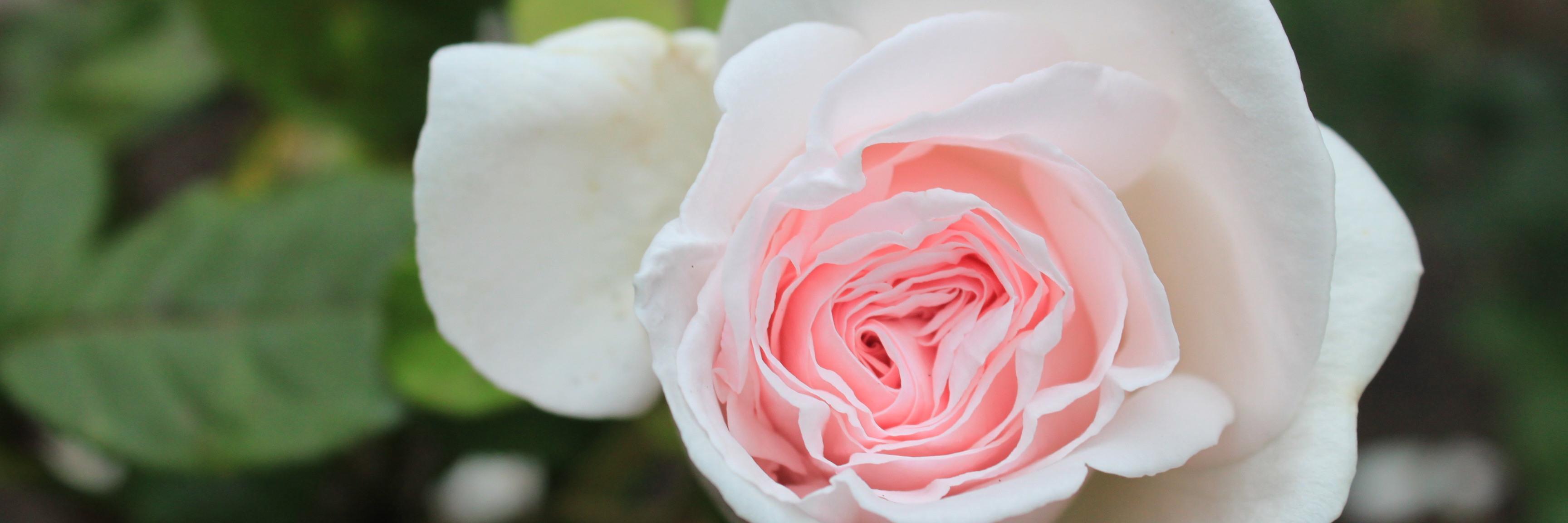 AnnieMrtz's profile banner image