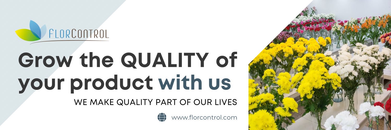 Florcontrol's profile banner image