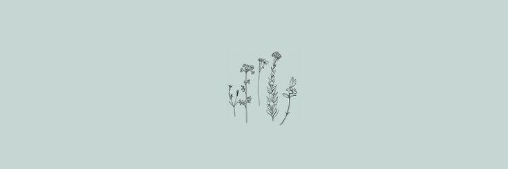 aaahlexis's profile banner image