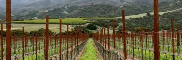 iancauble Profile Banner