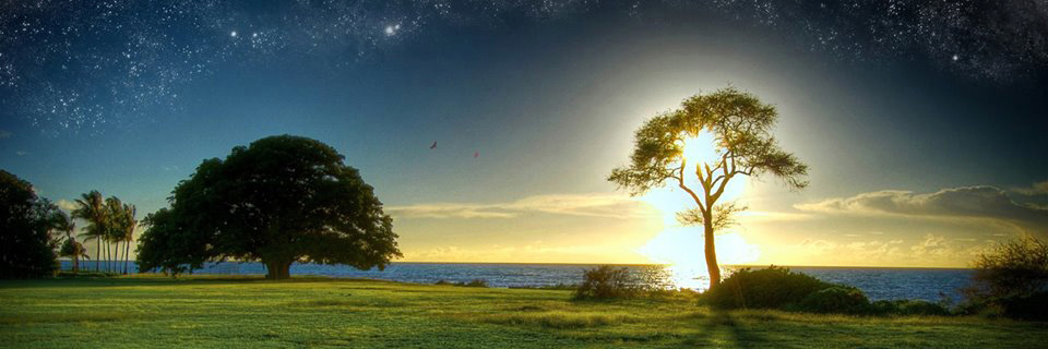 PodcastWisdom's profile banner image