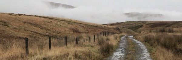 barrie_maxine Profile Banner