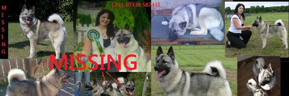 Help FIND BRAGI banner