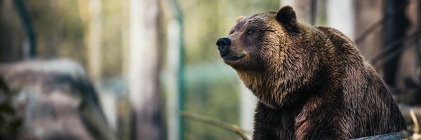 endangered Profile Banner