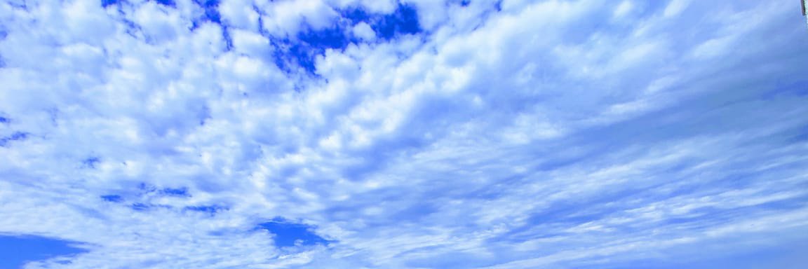 chunnu01's profile banner image