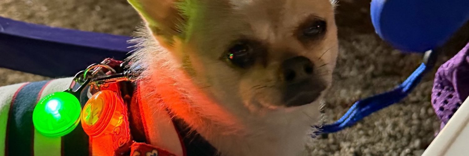 ryulkiwm's profile banner image