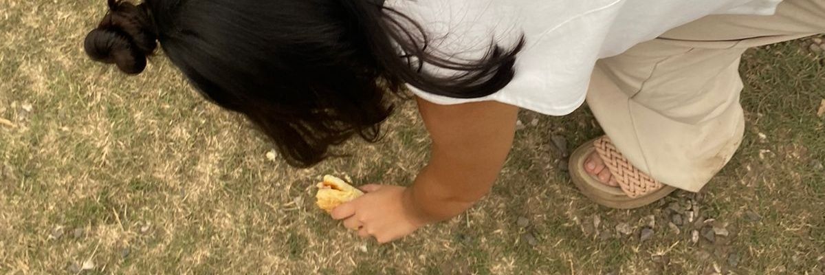 pauibar's profile banner image