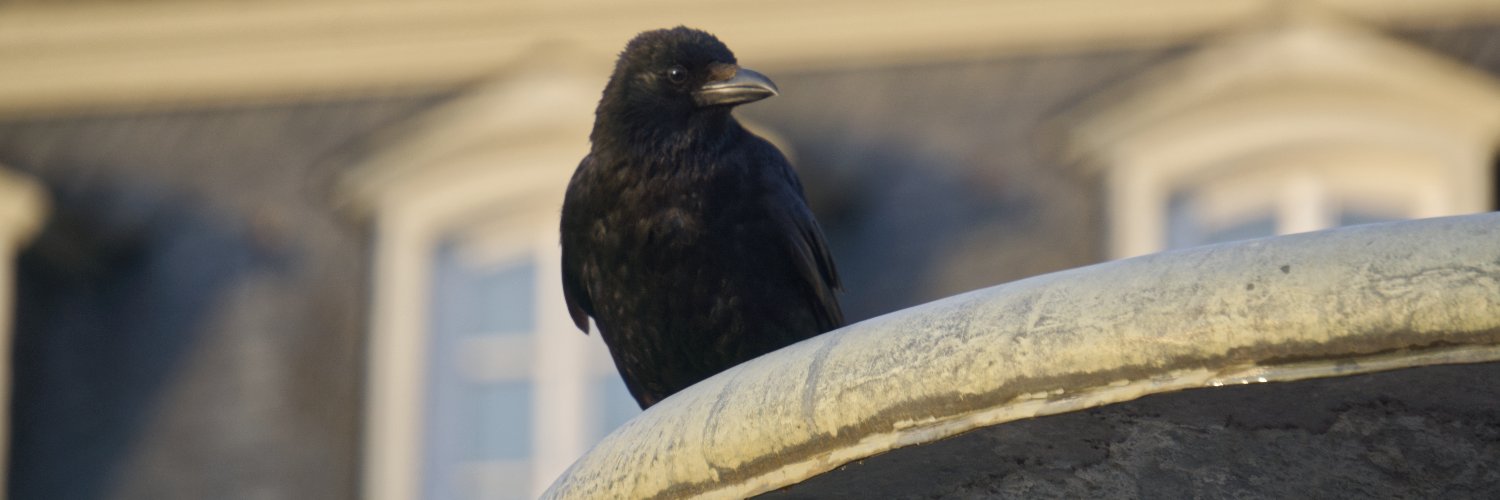 Teslar0n's profile banner image
