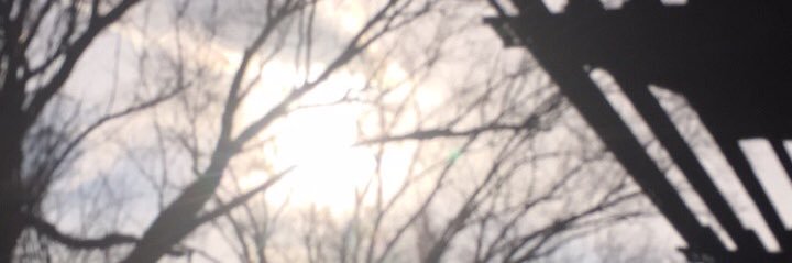 lexismaryy's profile banner image