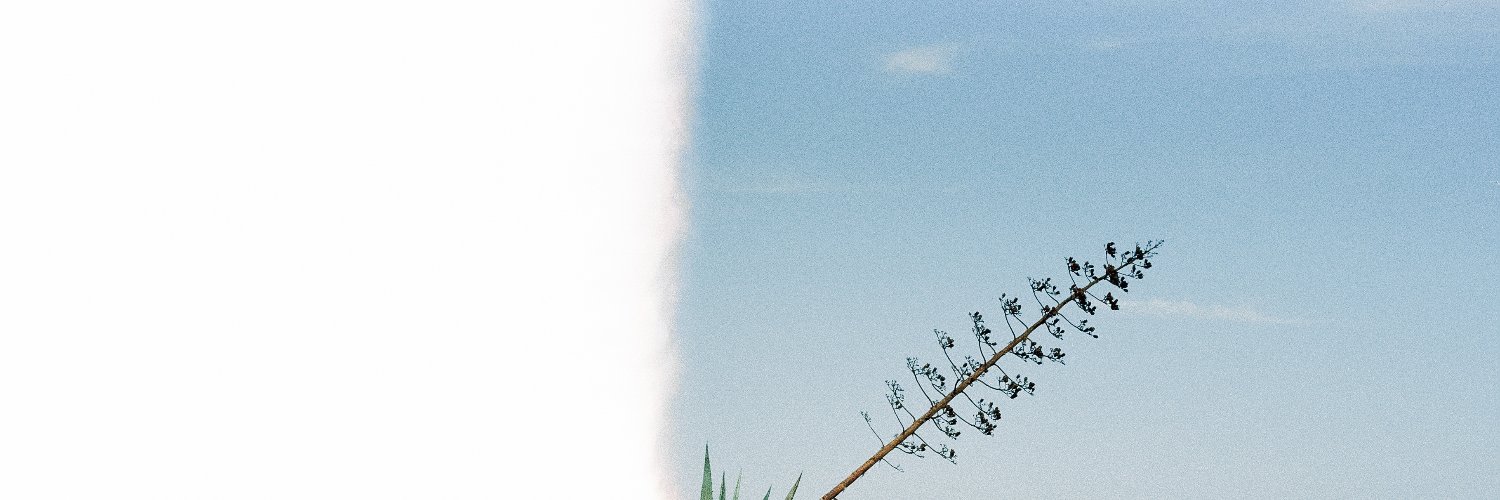 Toni_Jaume's profile banner image