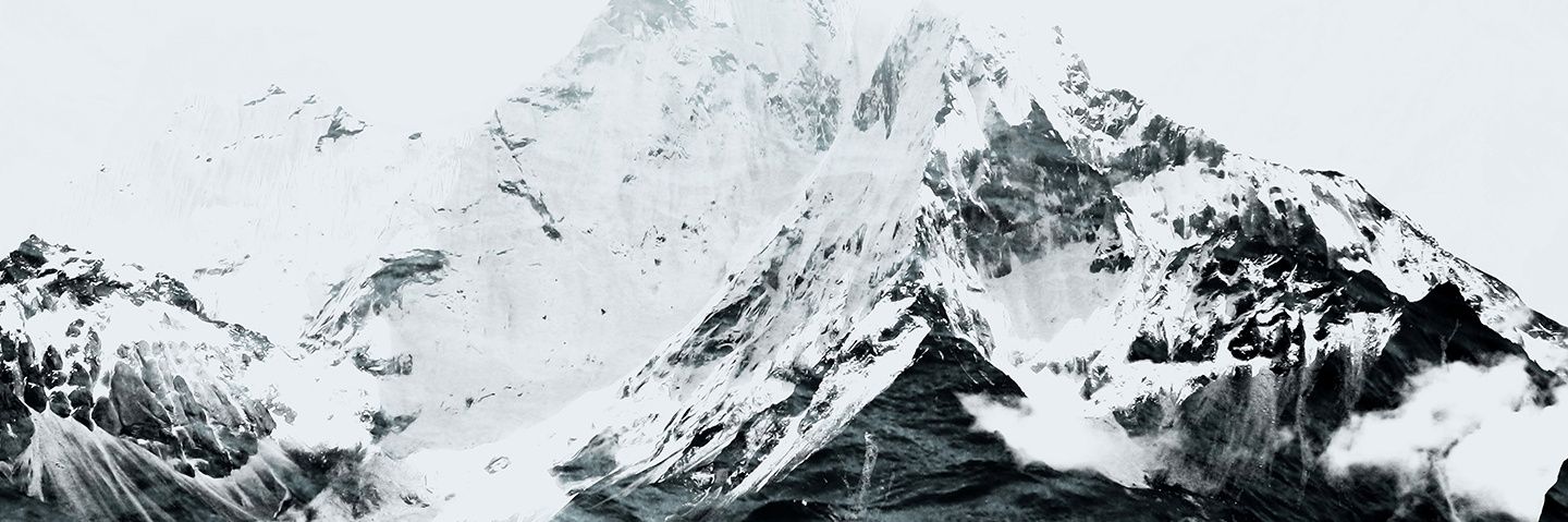 Vini_Arpini's profile banner image