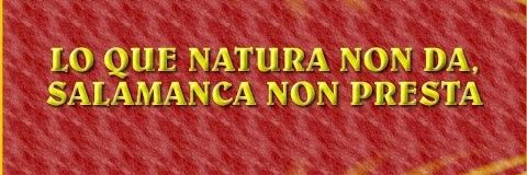 mosca2015's profile banner image