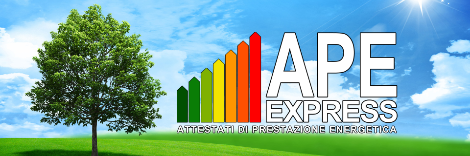 APE_Express's profile banner image