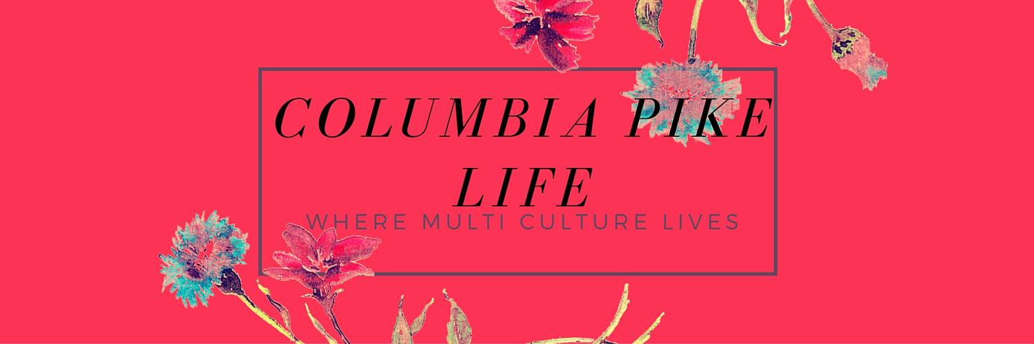 CP22204's profile banner image