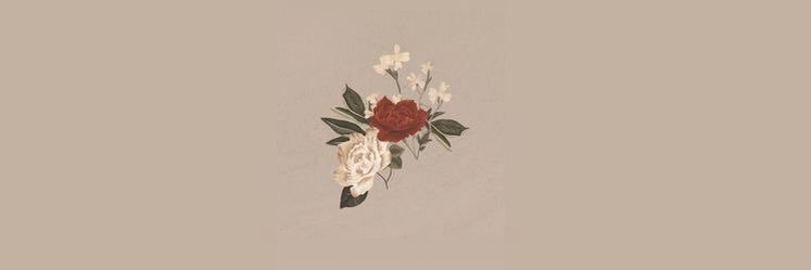 aIyssaaa's profile banner image