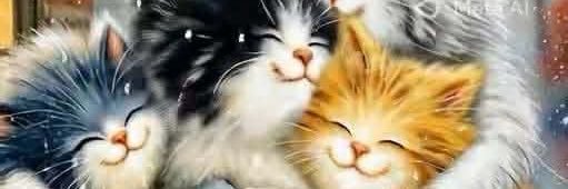 Catdame's profile banner image