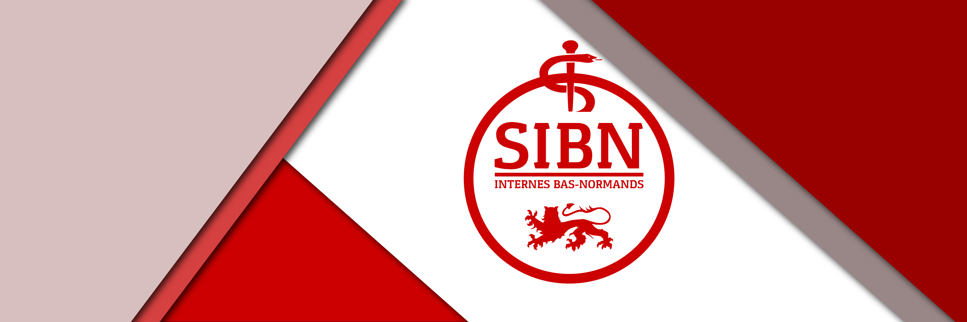 SIBN banner