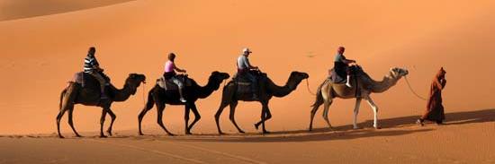 camel_racer's profile banner image
