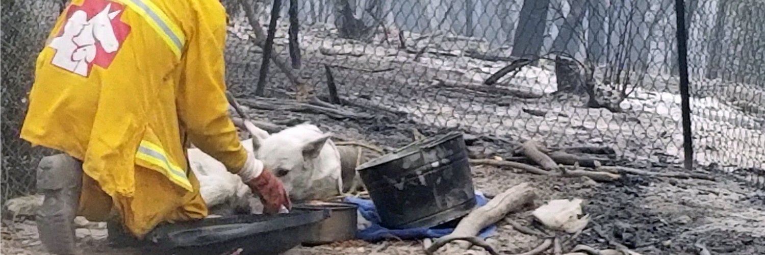 North Valley Animal Disaster Group banner