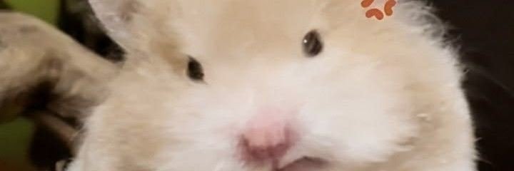 mejilsung's profile banner image