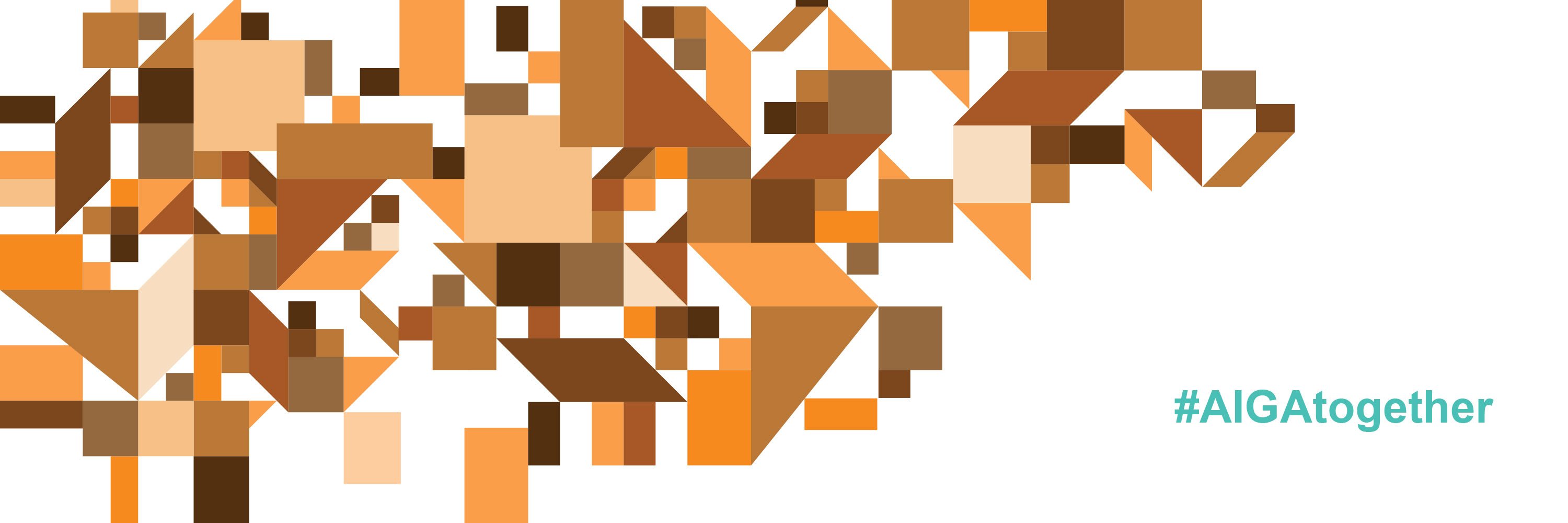 AIGA Minnesota banner