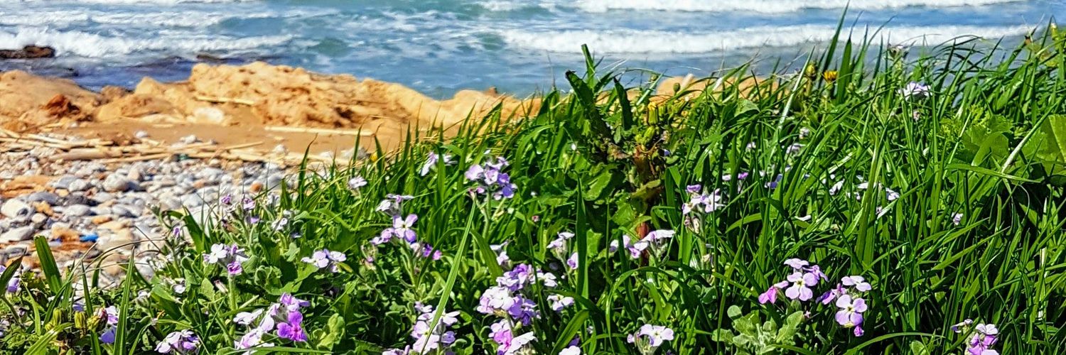 garden_ges's profile banner image