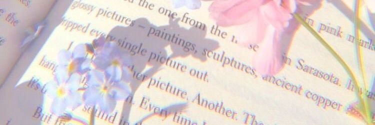 bena 𐙚 banner