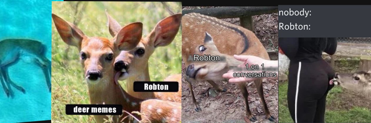 robtonfx's profile banner image