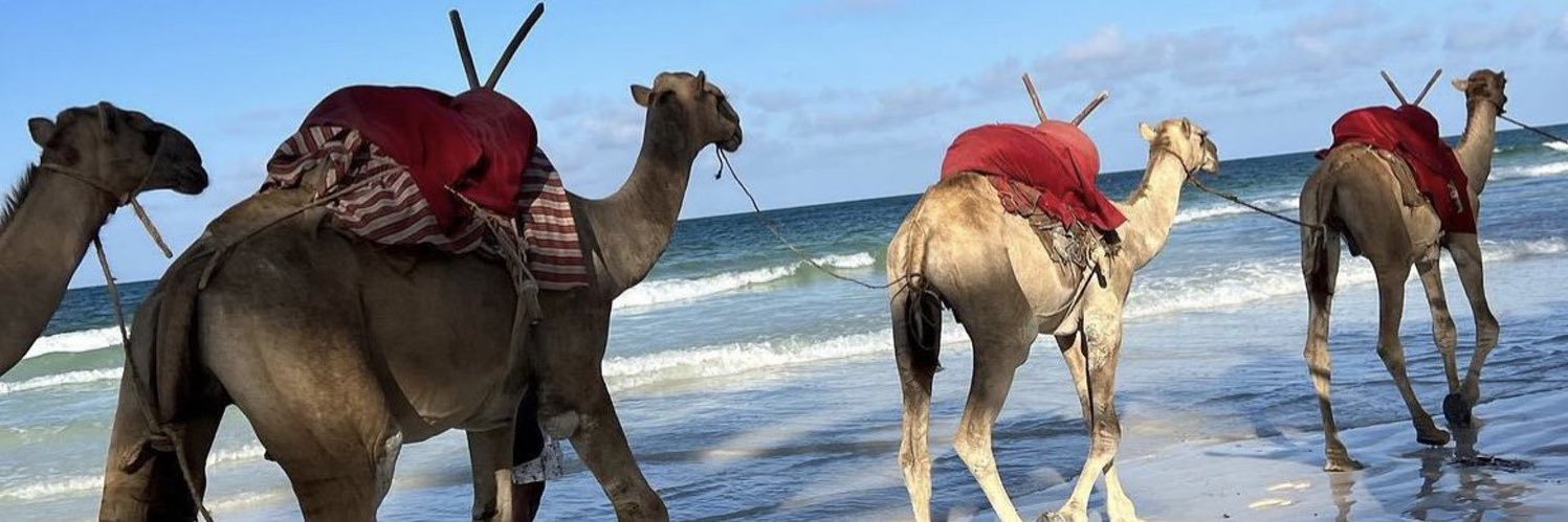 منيرة| Moonira banner