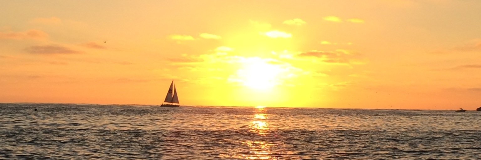 ErinKnowsSD's profile banner image