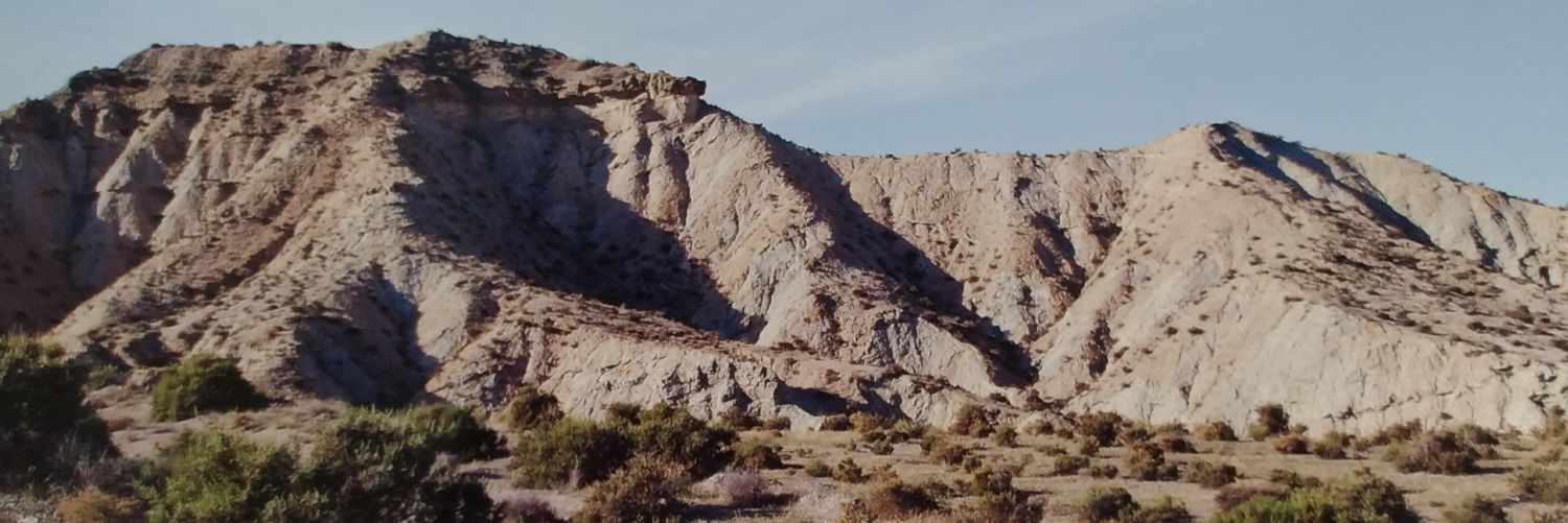 AleMex66's profile banner image