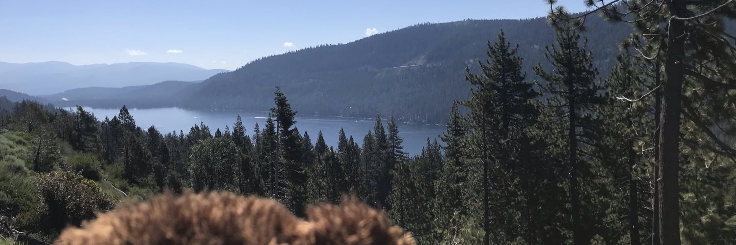 ToddTBear's profile banner image