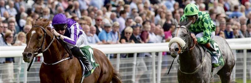 Joseph O'Brien banner